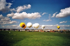 albug6